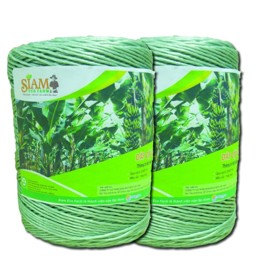 Dây cột chuối